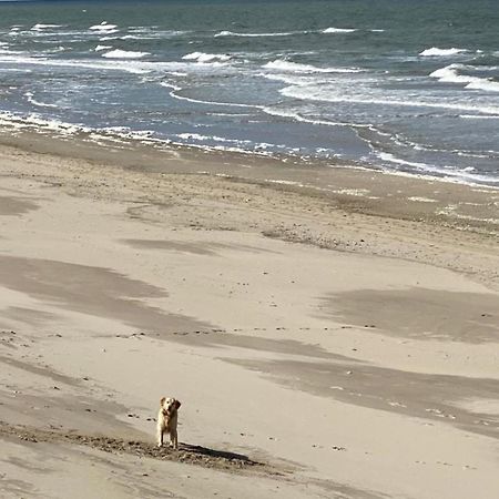 Natur Pur, O4 Neues Ferienhaus Natureingebunden, Familien- Und Hundefreundlich Eingezaeunt Callantsoog Esterno foto