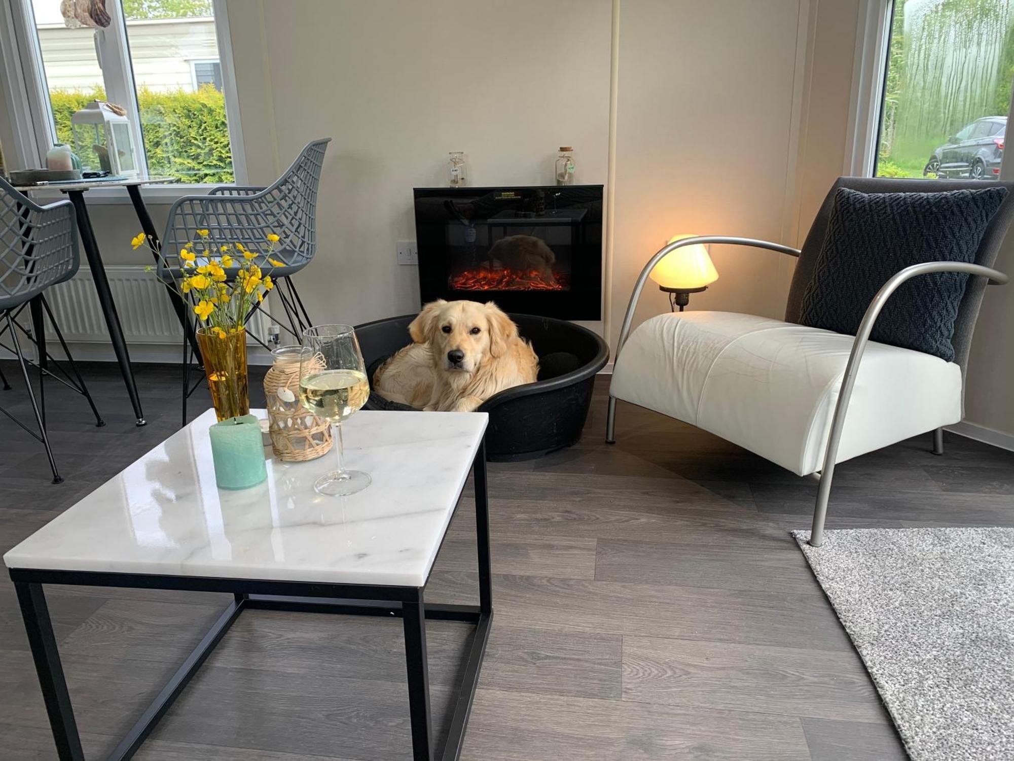 Natur Pur, O4 Neues Ferienhaus Natureingebunden, Familien- Und Hundefreundlich Eingezaeunt Callantsoog Esterno foto
