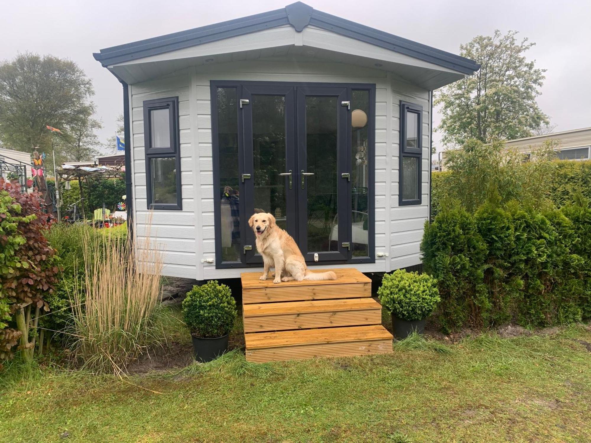 Natur Pur, O4 Neues Ferienhaus Natureingebunden, Familien- Und Hundefreundlich Eingezaeunt Callantsoog Esterno foto